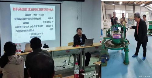 西盟縣農(nóng)科服務團佤鄉(xiāng)傳授茶科技，信息技術咨詢服務助力鄉(xiāng)村全面振興