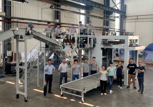 效率更高服務更方便 哈沃科技haver碼垛機實現國產化