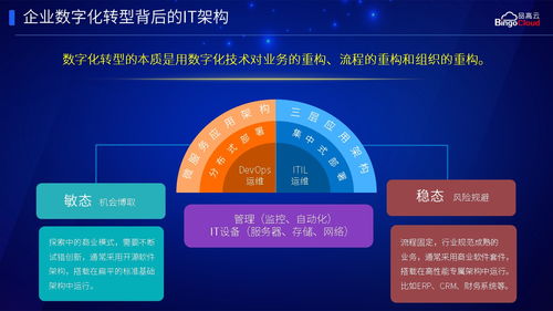 品高云龍?bào)K 賦能企業(yè)數(shù)字化轉(zhuǎn)型的工業(yè)互聯(lián)網(wǎng)數(shù)據(jù)服務(wù)架構(gòu)